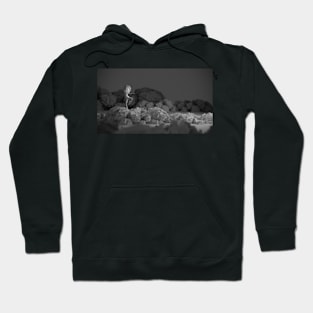 Low Poly abstract art Hoodie